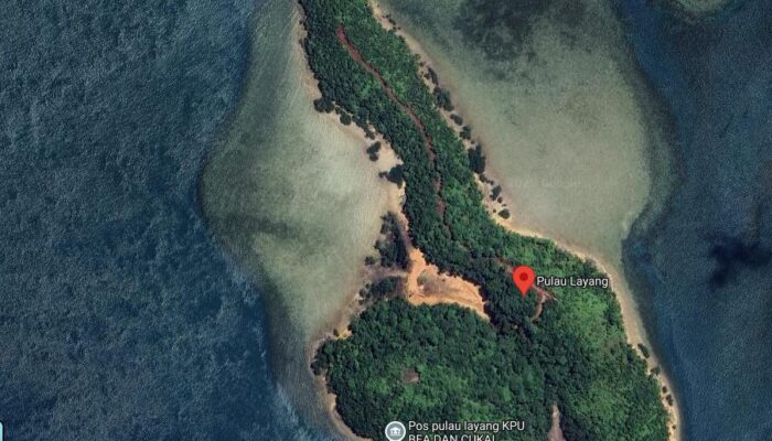 Reklamasi Pulau Pial Layang Dihentikan: Terdeteksi Penebangan Bakau Ilegal