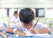 Viral! Biaya Sekolah SD Swasta di Batam Tembus Rp 50 Juta, Warganet Heboh