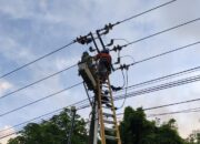 Layang-Layang dan Pohon Tumbang Jadi Biang Pemadaman Listrik di Batam, PLN Minta Warga Waspada