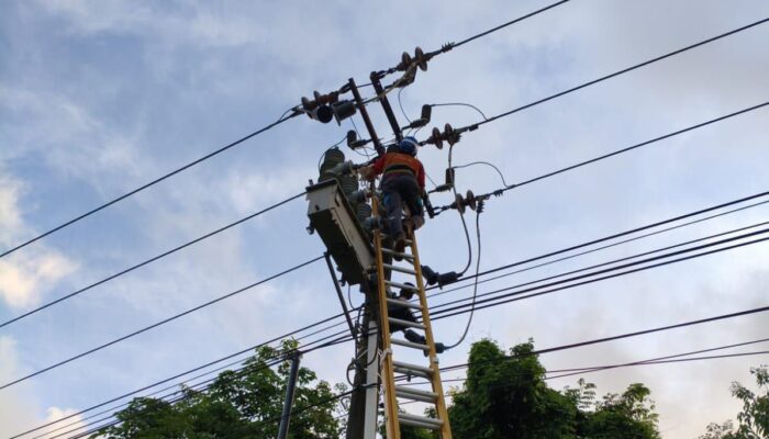 Layang-Layang dan Pohon Tumbang Jadi Biang Pemadaman Listrik di Batam, PLN Minta Warga Waspada