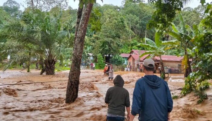 Parahnya Banjir Sumut–Aceh–Sumbar: 82 Tewas, 52 Hilang! Ini Data Terbarunya