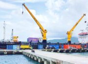Subsidi Tol Laut 63 Persen Belum Tekan Harga Pangan di Natuna, Disparitas Masih Lebar
