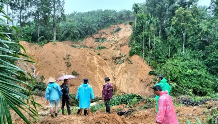 604 Tewas, 464 Hilang: Operasi Besar-Besaran Penanganan Bencana Hidrometeorologi di Sumatra Dikebut