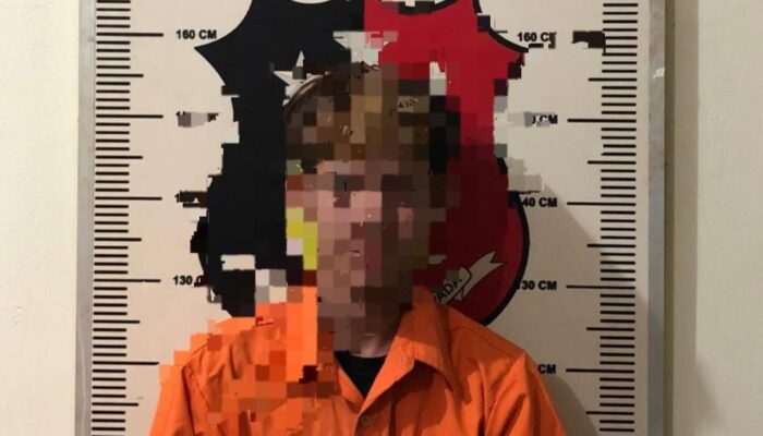 Tempat Karaoke Keluarga di Batam Jadi Lokasi Dugaan Persetubuhan Anak, Ini Penjelasan Polisi