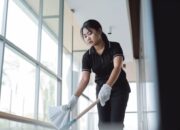 Kasus Asusila PRT di Natuna Jadi Alarm, Penyalur Resmi Dinilai Penting untuk Lindungi Pekerja Rumah Tangga