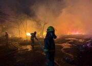 Kebakaran di Mega Legenda Batam Diduga Berasal dari Gudang Kayu Palet