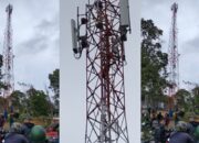 Dikira Mau Bunuh Diri, Pria di Atas Tower Tembesi Ternyata Maling Kabel yang Terjebak