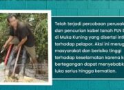 Alarm Bahaya! Marak Pencurian Kabel PLN Batam di Muka Kuning, Pelapor Sempat Diintimidasi