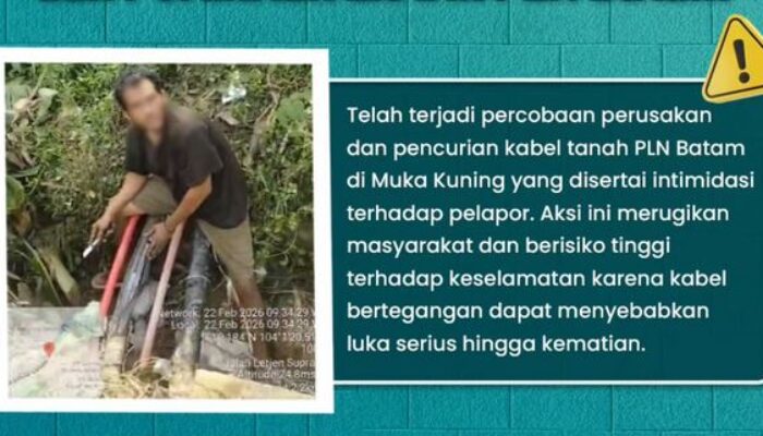 Alarm Bahaya! Marak Pencurian Kabel PLN Batam di Muka Kuning, Pelapor Sempat Diintimidasi