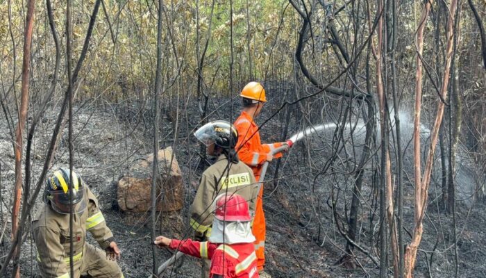 Api Merebak di Bukit Daeng Tembesi, Brimob Polda Kepri Turun dengan Water Cannon