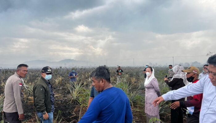 Bupati Cen Sui Lan Gerakkan BTT untuk Bantu Petani di Natuna Terdampak Kebakaran Lahan