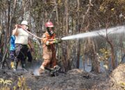 Hutan Lindung Waduk Nongsa Sengaja Dibakar? Modus Klasik Okupansi Lahan Ilegal Terendus Lagi