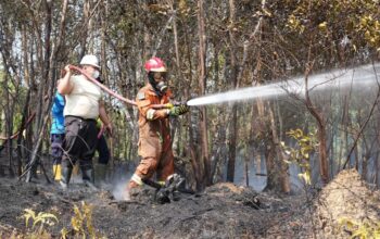 Deputi Bidang Pelayanan Umum BP Batam Ariastuty Sirait saat meninjau lokasi kebakaran hutan lindung Nongsa