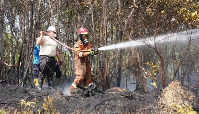 Hutan Lindung Waduk Nongsa Sengaja Dibakar? Modus Klasik Okupansi Lahan Ilegal Terendus Lagi