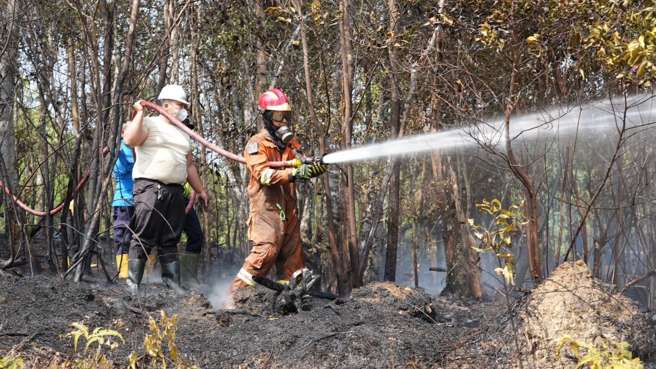 Deputi Bidang Pelayanan Umum BP Batam Ariastuty Sirait saat meninjau lokasi kebakaran hutan lindung Nongsa