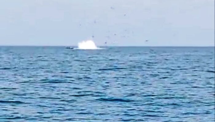 Bom Ikan Guncang Perairan Pulau Tiga Natuna: 1 Ton Ikan Ditinggalkan Pelaku, Diduga Kapal Asal Kalbar