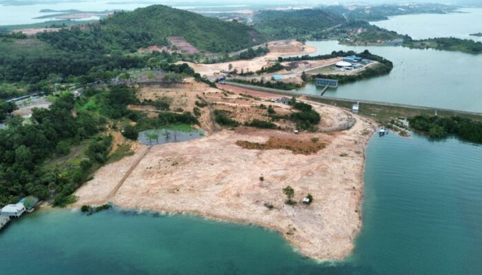 Jangan Hanya Galak ke Rakyat Kecil, Aktivis Tantang Li Claudia Berantas Reklamasi Ilegal dan Deforestasi