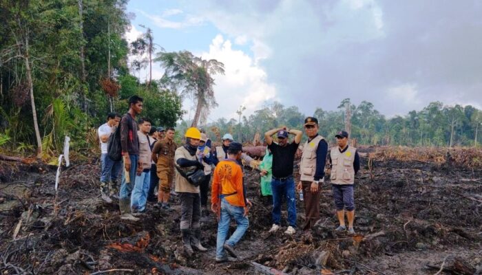 PT CSA Akui Gilas Sagu Warga Pekaka, Janjikan Kompensasi Usai Ditekan Pemerintah