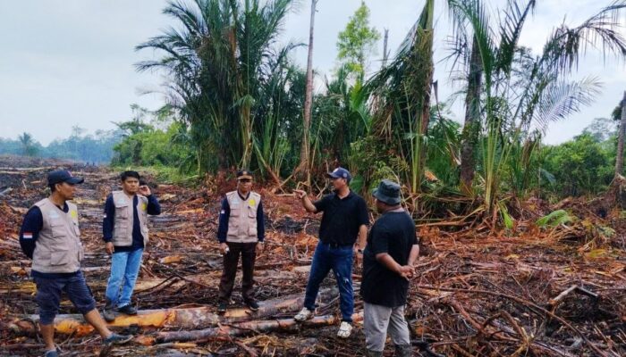 Bukan Cuma Miskomunikasi, Ini Fakta Pedas di Balik Rusaknya Kebun Sagu Warga oleh PT CSA di Lingga