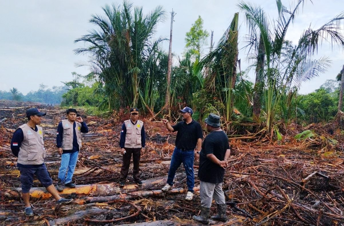 Alat berat PT CSA merusak lahan sagu milik warga Desa Pekaka akibat pengabaian zona penyangga atau buffer zone.