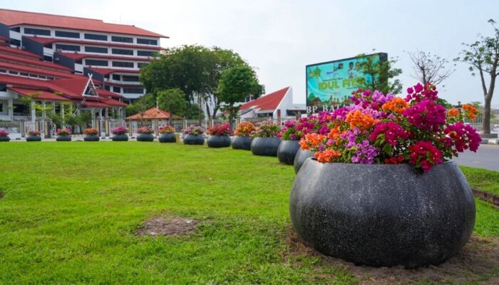 Bougenville Is Coming! Jalanan Batam Siap-Siap Jadi Estetik Kayak Vibes Drakor