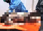 Evakuasi jenazah perempuan yang ditemukan terkubur tidak layak di halaman rumah kawasan Setajam, Dabo Singkep.