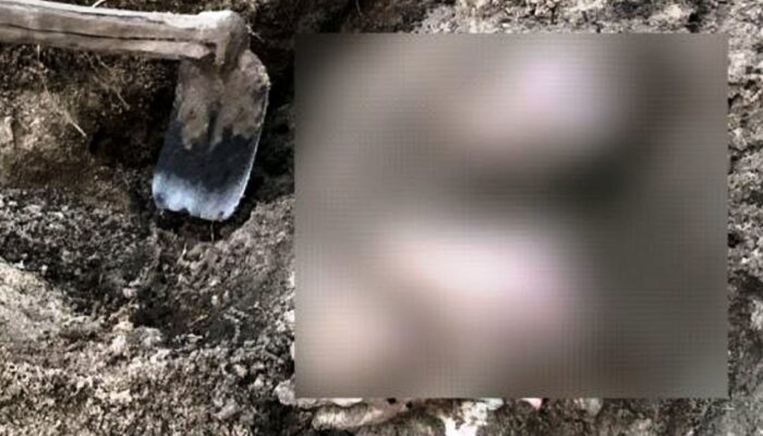 Viral Isu ‘Psikopat’ di Dabo Singkep Usai Temuan Mayat Terkubur di Halaman Rumah