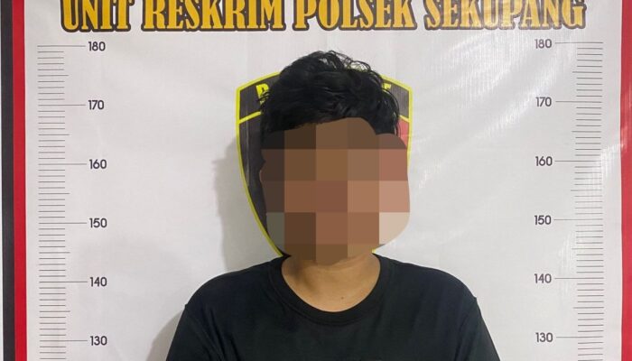 Curanmor di Sekupang Terungkap, Pelaku RL Ternyata Gunakan Motor Curian untuk Jambret HP