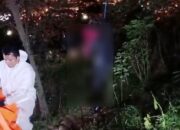 Lokasi penemuan mayat pria membusuk dalam posisi tergantung di hutan pinggir jalan Yos Sudarso, kawasan Bengkong Garama Batam.