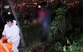 Geger! Sesosok Mayat Pria Membusuk Tergantung di Hutan Pinggir Jalan Yos Sudarso Batam