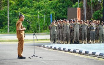 Wakil Bupati Lingga, Novrizal