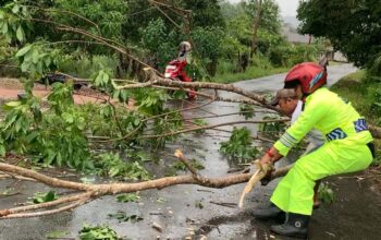 Pohon Tumbang di Bandarsyah Natuna Timpa Dua Pelajar, Bhabinkamtibmas dan Warga Gerak Cepat Evakuasi