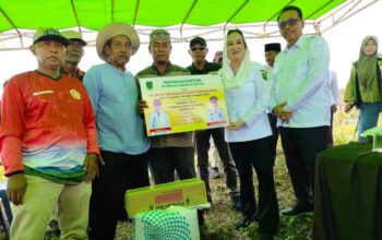 Bupati Natuna Cen Sui Lan bersama Wakil Bupati Jarmin Sidik menyalurkan bantuan kepada petani terdampak kebakaran hutan dan lahan (karhutla) di Kecamatan Bunguran Batubi, Rabu, 29 April 2026.
