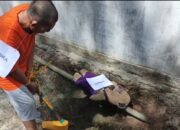 Tersangka Jaka memperagakan adegan rekonstruksi pembunuhan Diana di Lingga.