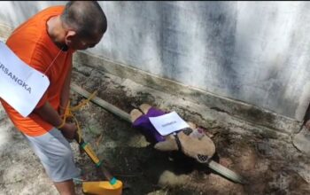 Tersangka Jaka memperagakan adegan rekonstruksi pembunuhan Diana di Lingga.