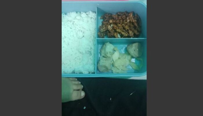 Niat Cegah Stunting Malah Diare? Fakta Medis di Balik Pentol Berlendir MBG Natuna yang Viral