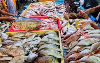 Bukan Pasar Biasa, Kawasan Ranai Bakal Disulap Jadi Pusat Kuliner Seafood Terpadu