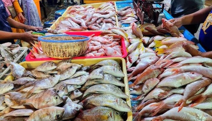 Bukan Pasar Biasa, Kawasan Ranai Bakal Disulap Jadi Pusat Kuliner Seafood Terpadu