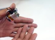 Perangkat micro-PCB yang terpasang pada punggung Kecoa Madagaskar untuk navigasi otomatis di ruang sempit.