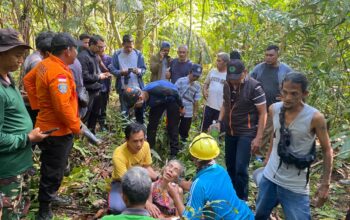 Dua Hari Hilang Misterius di Hutan Lingga, Nenek Nurhayati Ditemukan Selamat