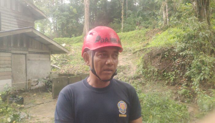 Evakuasi Pohon Tumbang Berlangsung 6 Jam, Danru Mordi: Peralatan Jadi Kendala