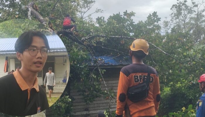Cerita Darwin yang Selamat Saat Pohon Besar Menghantam Rumahnya