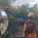 Cerita Darwin yang Selamat Saat Pohon Besar Menghantam Rumahnya