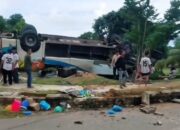 evakuasi penumpang bus pariwisata yang terbalik di tikungan Pantai New Melur Rempang Batam