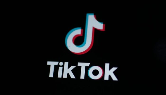 Fenomena ASN Live TikTok Saat Jam Kerja: Tantangan Penegakan Disiplin Digital di Pemkab Lingga