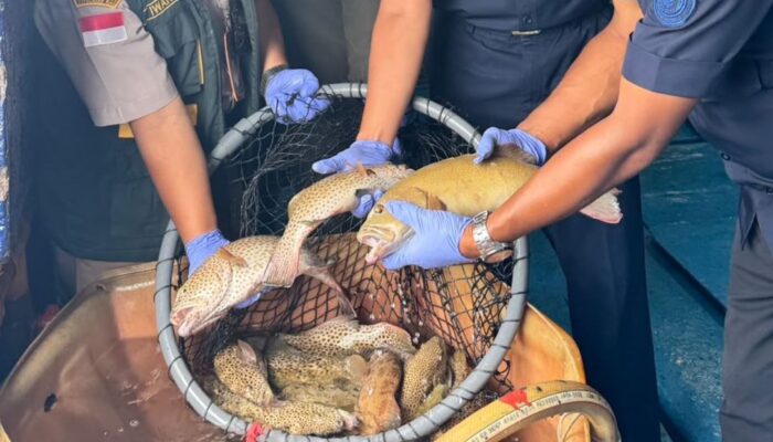 Tembus Pasar Hongkong, Ekspor 10 Ribu Ekor Ikan Unggulan Natuna Sumbang Rp1,1 Miliar