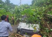 Mobil Ekspedisi SPX Tertimpa Pohon Tumbang di Anambas, 2 Kurir Selamat Meski Mobil Ringsek