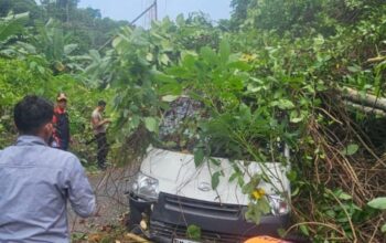 Mobil Ekspedisi SPX Tertimpa Pohon Tumbang di Anambas, 2 Kurir Selamat Meski Mobil Ringsek