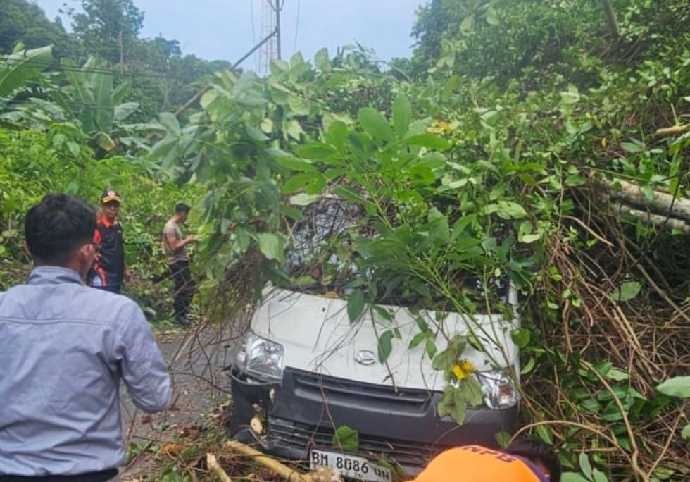 Kondisi mobil ekspedisi SPX Gran Max ringsek tertimpa pohon tumbang di Jalan Soekarno Hatta Batu Tambun Anambas.