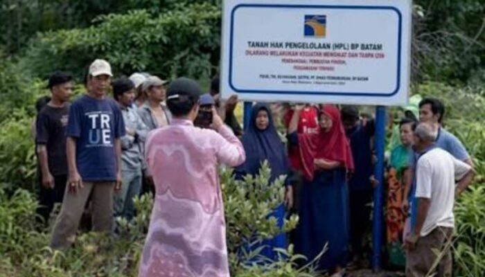Menilik Proyek Role Model Nasional di Rempang, Mengapa Warga Malah Menolak Sekolah Gratis?